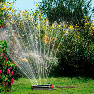 Все для поливу городу: Купити все для краплинного поливу саду та городу у магазині Atropos