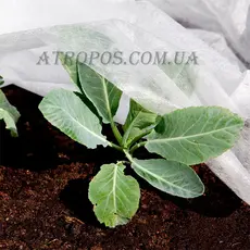 Агроволокно укрывное белое 30 г/м2  2,1x100м \