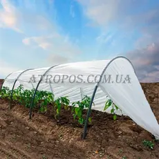Арочный парник мини теплица из белого агроволокна 6 м 60 плотность Агро-Лидер в Украине