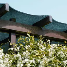 Затеняющая сетка 80% 4x50 м для огурцов и помидоров в Украине