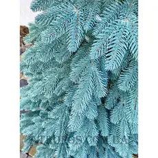 Ялинка новорічна штучна декоративна ялина Королівська блакитна лита 2,3м в Україні