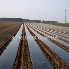 Пленка черная полиэтиленовая SHADOW 70 микрон рукав 1,5м (в развороте 3м) рулон 100м в Украине