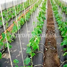 Плівка чорна поліетиленова SHADOW 170 мікрон рукав 3м (у розвороті 6м) рулон 50м в Україні