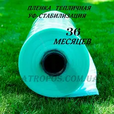 Плівка теплична зелена SHADOW з УФ-стабілізацією 36 міс 150 мікрон рукав 3м рулон 50м в Україні